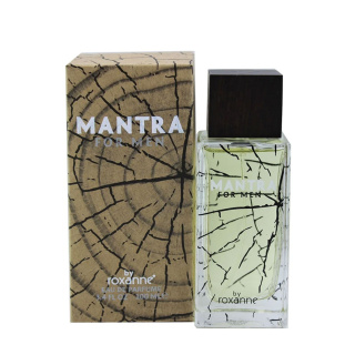 ادوپرفیوم مردانه رکسان مدل mantra با رایحه آکوا جیو حجم 100 میلی لیتر - تصویر 2